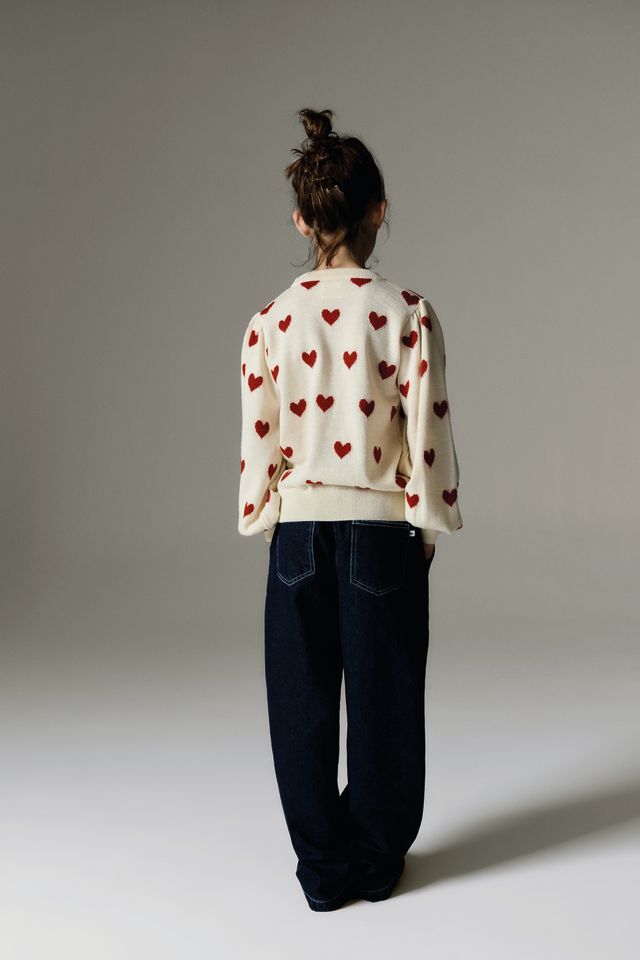 Fuji Jumper Sample 6y