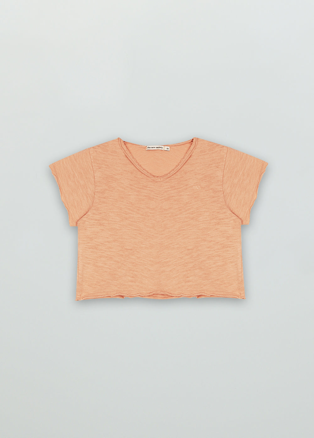 Color Tee Apricot_Sampling