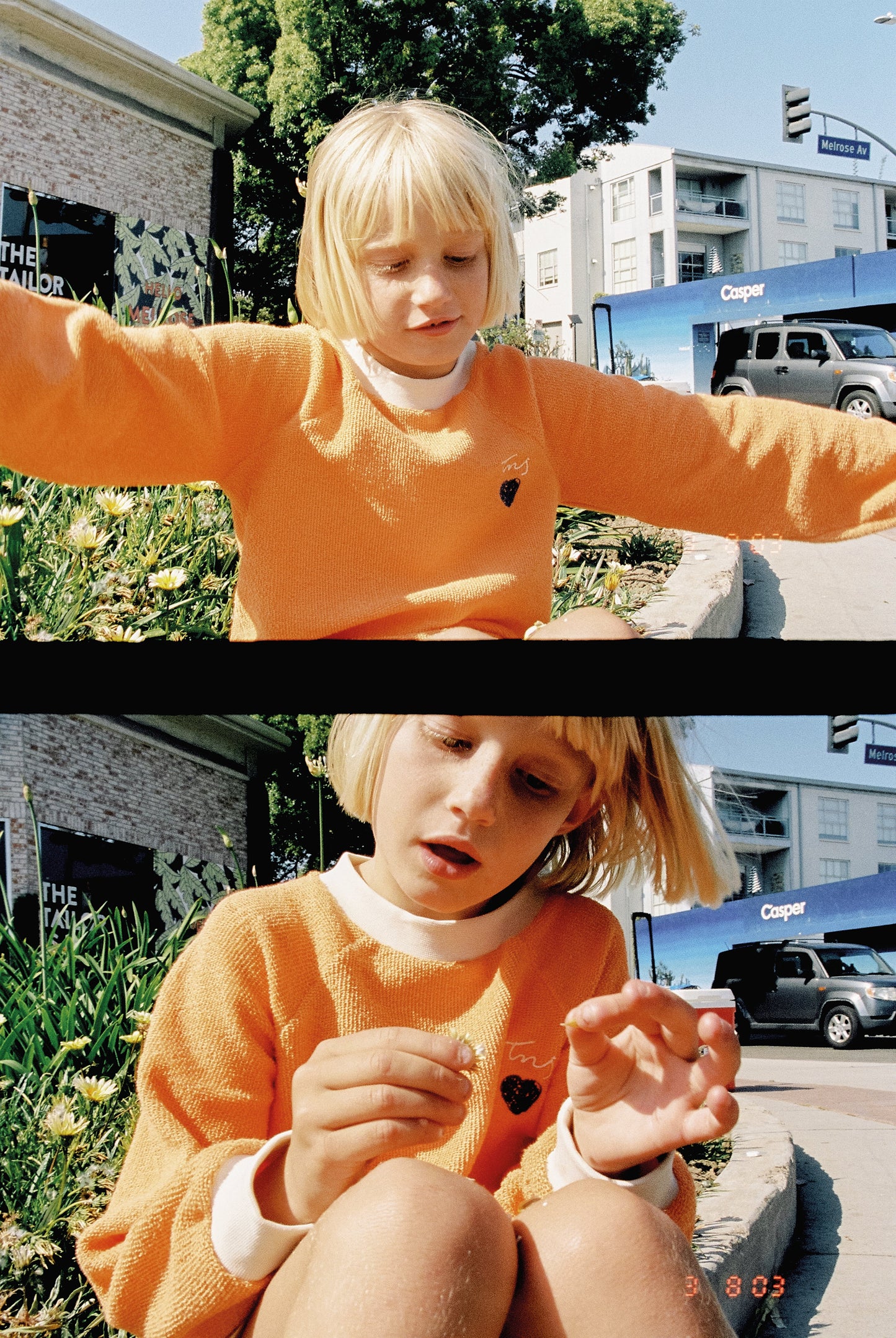 Compton Sweater Goldenhour