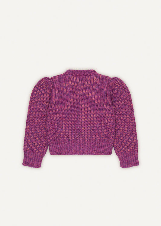 Ambrosia  Jumper Grape