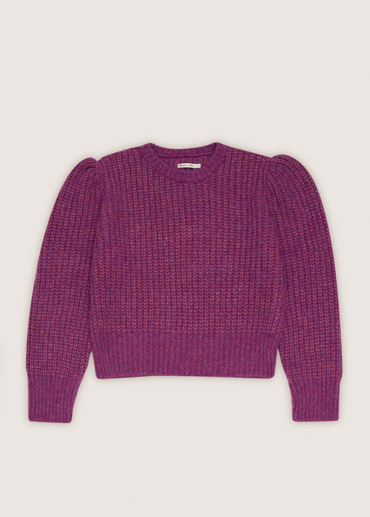 Ambrosia Woman Jumper Grape_Sampling