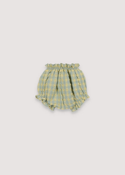 Canyon Yellow Baby Bloomer_Sampling 24m
