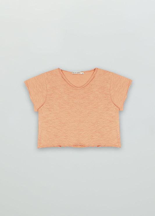 Color Tee Apricot_Sampling