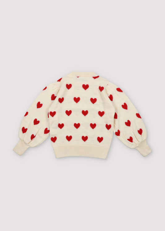 Fuji Jumper Sample 6y