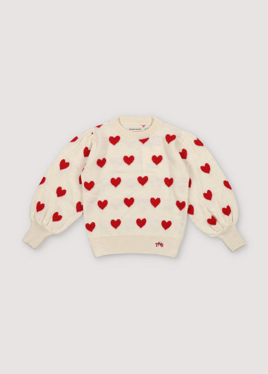 Fuji Jumper Sample 6y