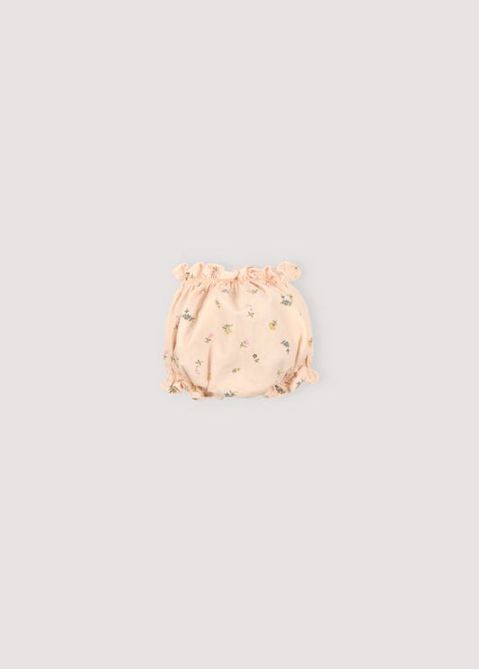 Camellia Baby Bloomer Sample 6m