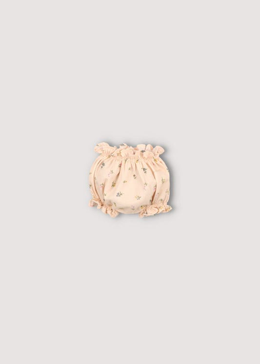Camellia Baby Bloomer Sample 6m