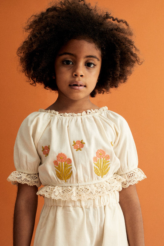 Clementine Top_Sampling