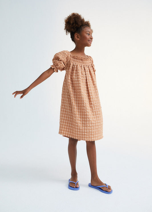 Canyon Blush Dress