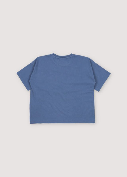 Artic T-shirt Blue Steel Sample 6y